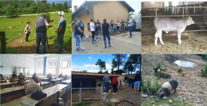 FOTOGRAFIJE PROJEKTA 1